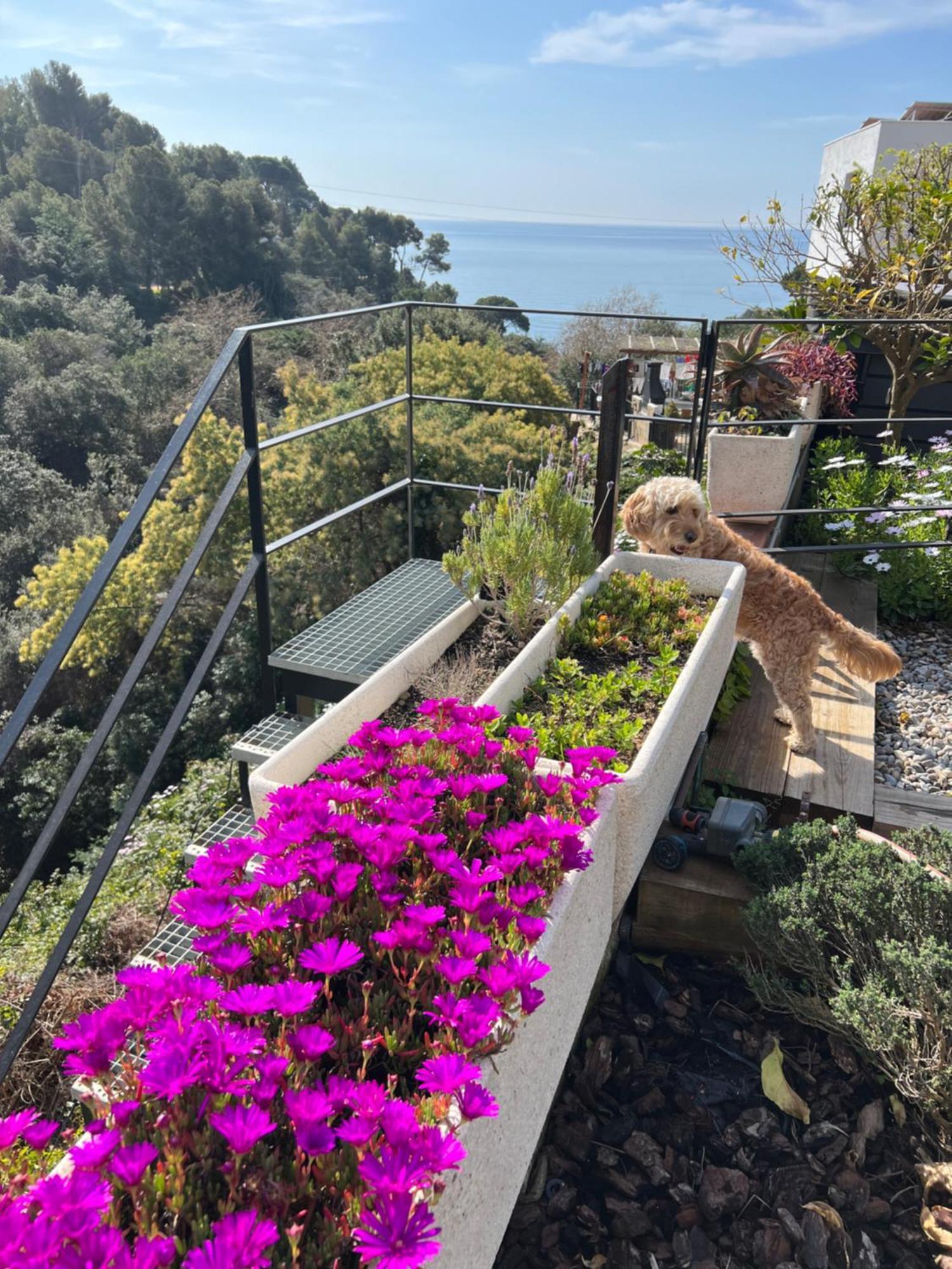 Appartamento Casa Karian Tossa de Mar Esterno foto